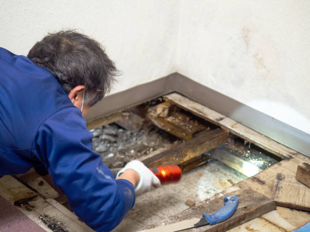 Best Post-Remediation Services in Fairfield, IL