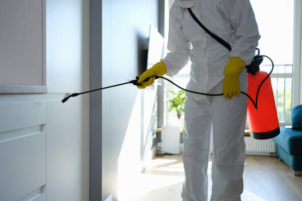 Best Preventive Mold Services in Fairfield, IL