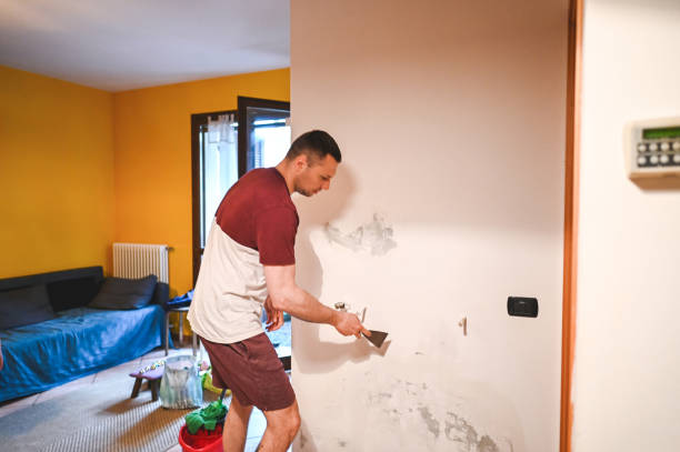 Best Localized Mold Remediation (e.g., coastal areas, humid climates) in Fairfield, IL
